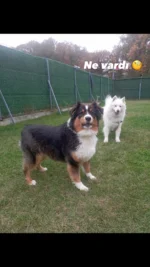 PatiLee Instagram gönderisi