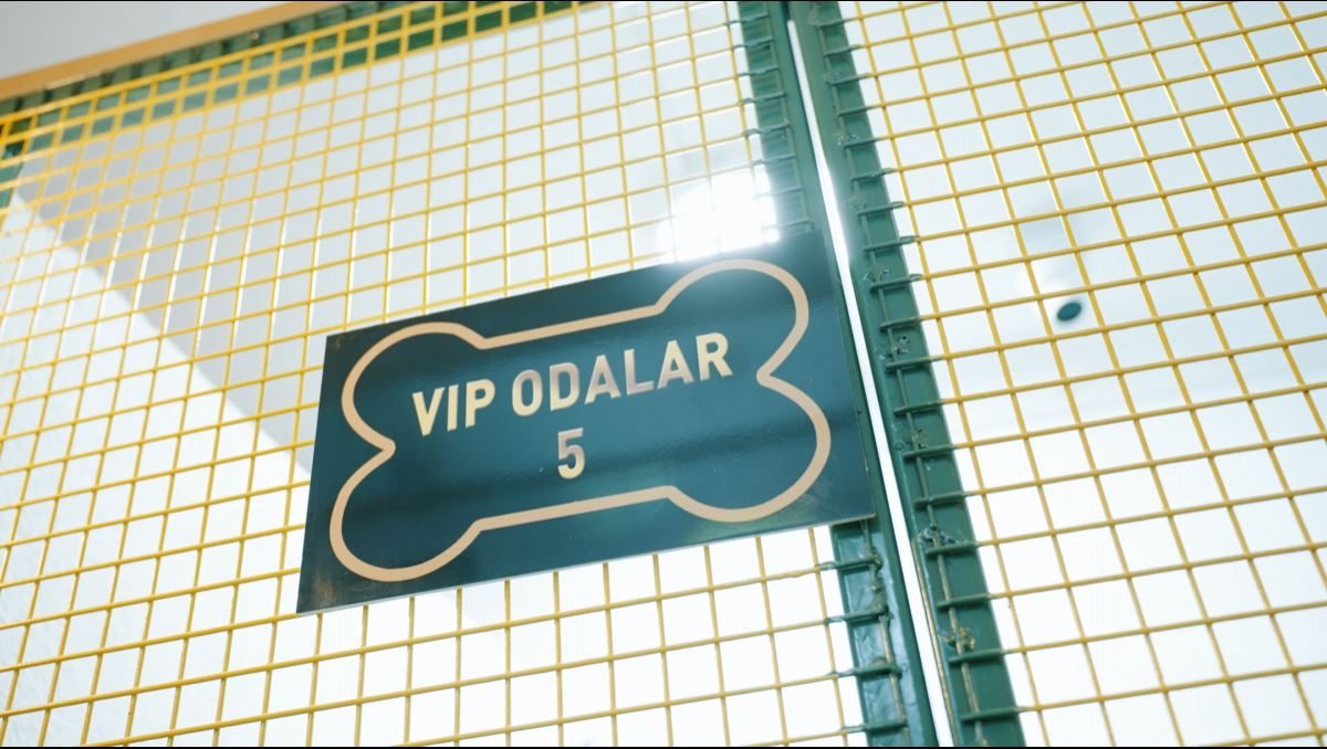 Özel (VIP) konaklama süiti